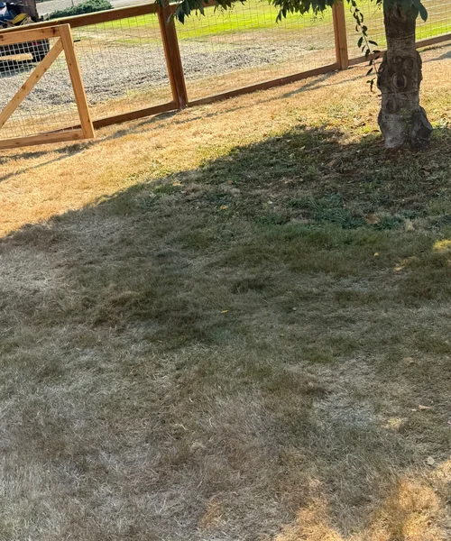 540ft Hug wire fence galvanized on cedar fence with 3 gates in Buckley 